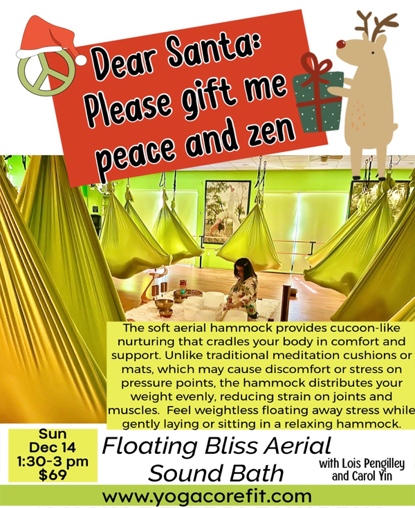 floatingblissflyerSanta