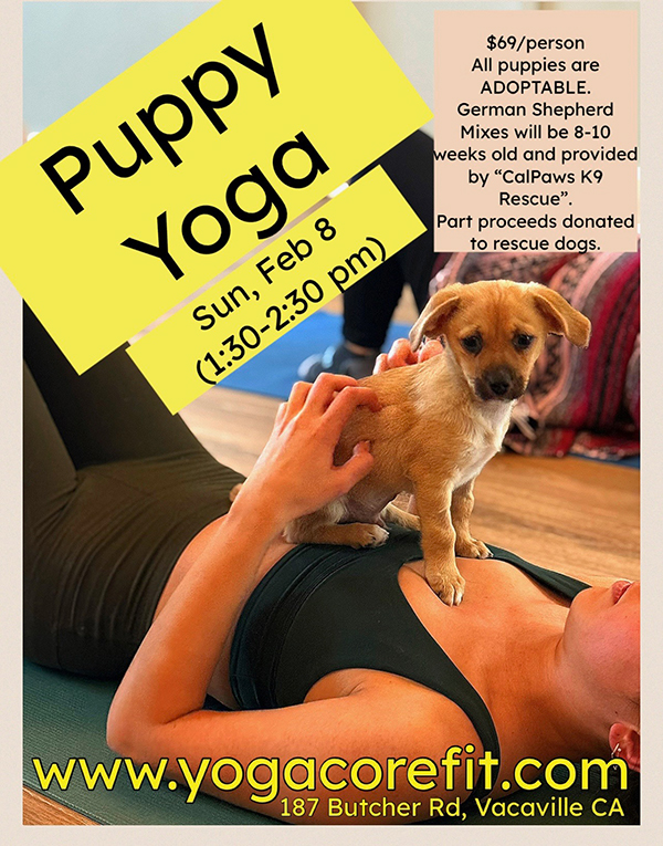 PuppyYoga2
