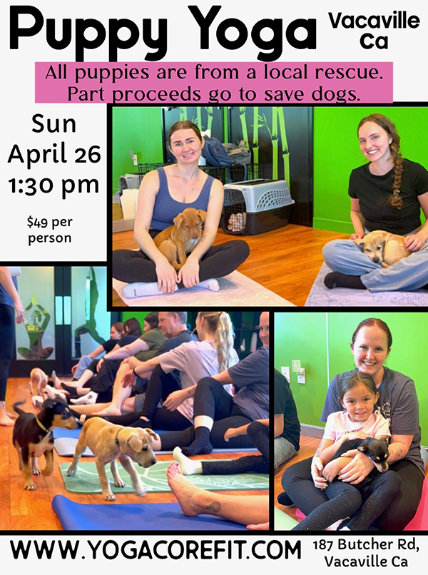 PuppyYogaApril26