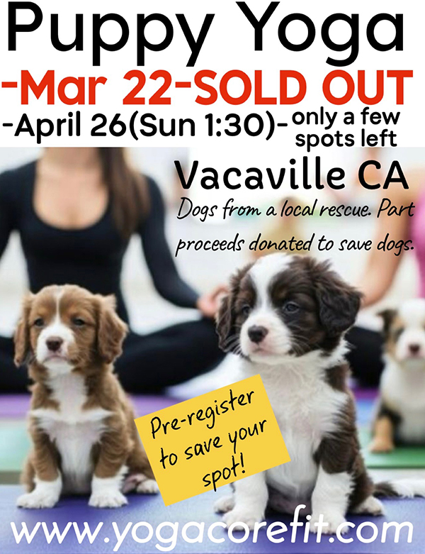 PuppyYogaApril26