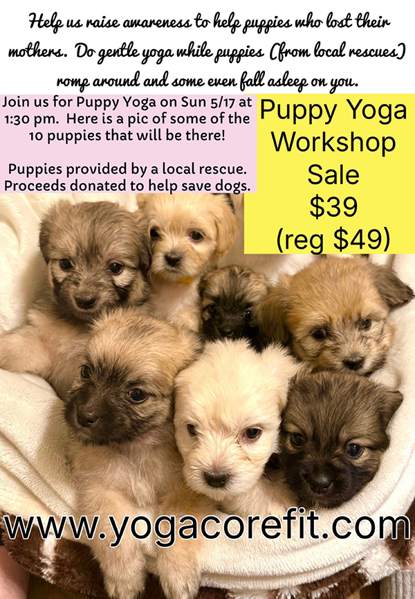 PuppyYogaMay17