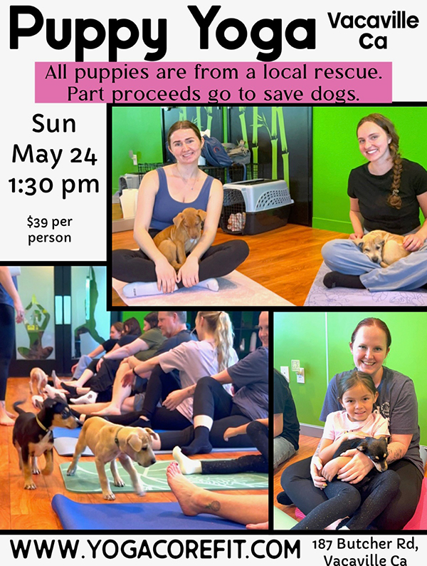 PuppyYogaMay24
