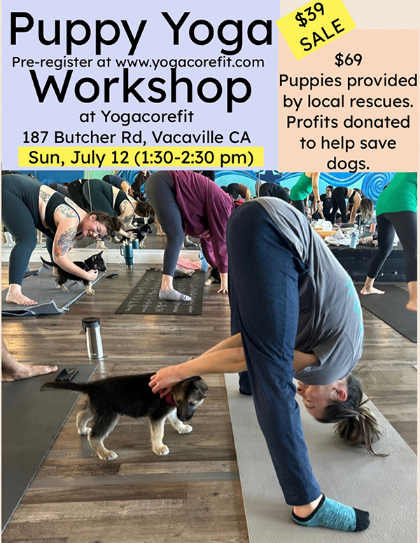 PuppyYoga7-12-26
