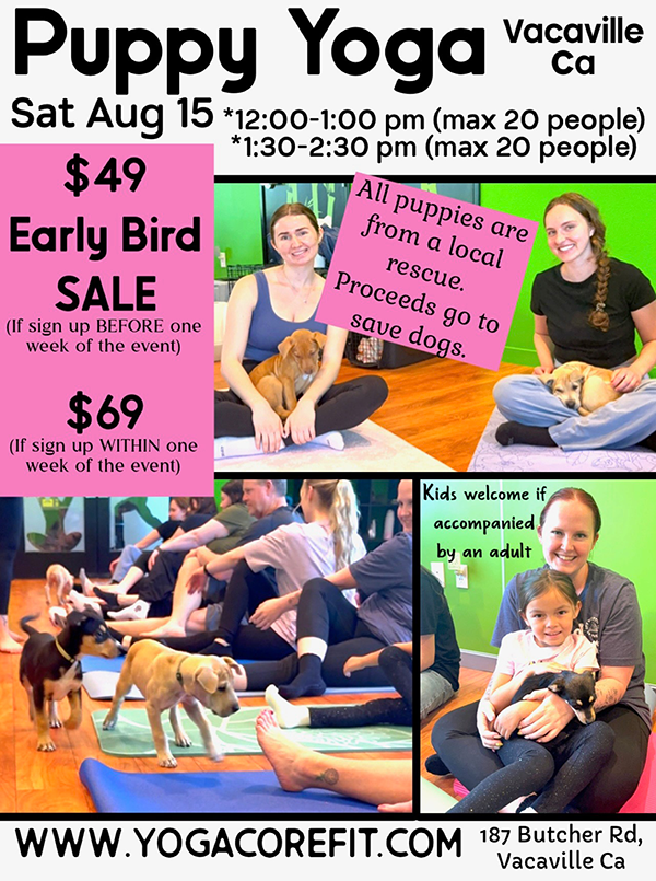 Puppy Yoga Event 8-15-26