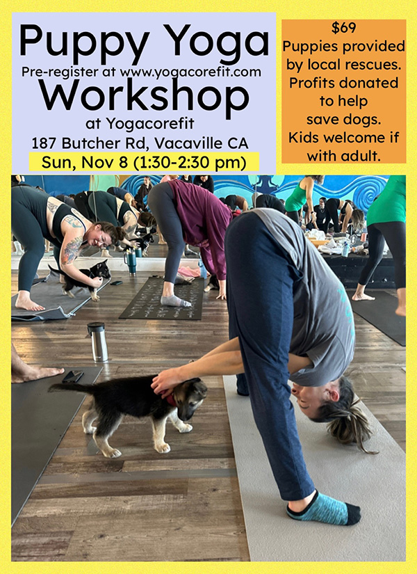 Puupy-Yoga-Nov8